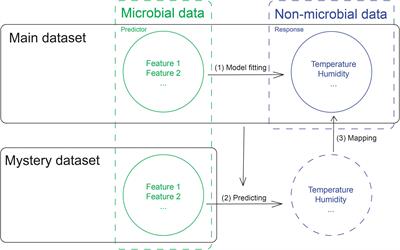 Unraveling City-Specific Microbial Signatures and Identifying Sample Origins for the Data From CAMDA 2020 Metagenomic Geolocation Challenge